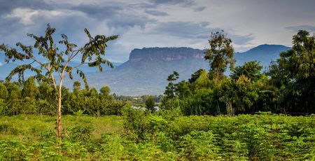 Mount Elgon trekking