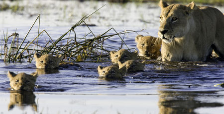 Luxe reizen Afrika – Boek hier een luxe safari | Matoke Tours