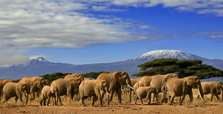 Kenia Archieven » Matoke
