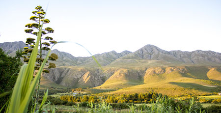 Zuid Afrika Archieven » Matoke