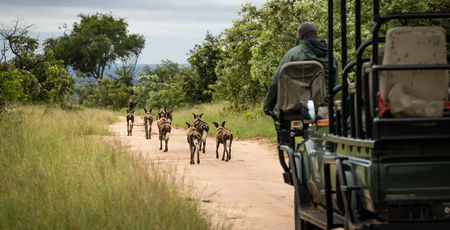 Zuid Afrika Archieven » Matoke