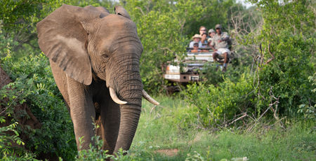 Individuele rondreis Zuid-Afrika | Overzicht van alle reizen | Matoke Tours