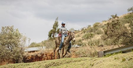 Individuele rondreis Zuid-Afrika | Overzicht van alle reizen | Matoke Tours