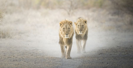 Namibië Archieven » Matoke