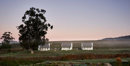 Rijk’s Wine Estate