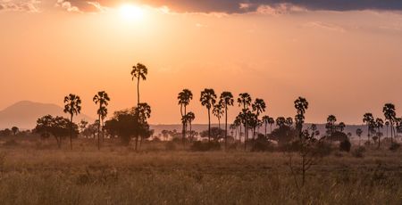 Tanzania en Zanzibar | individuele reizen | Matoke Tours