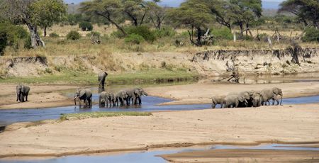 Tanzania safari - Vakantie en rondreis in Tanzania | Matoke Tours