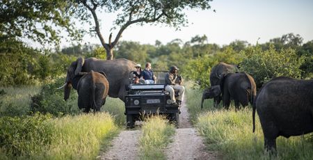 Individuele Rondreis Zuid-Afrika | Reizen Zuid-Afrika | Matoke Tours