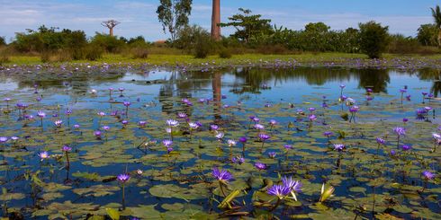 Privéreis Madagascar RN7 walvissen - 21 dagen|Matoke Tours