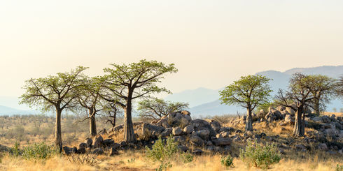 Zuid Tanzania | Matoke Tours