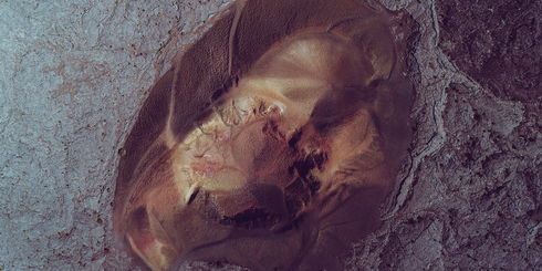 Rondreis Afrika – De mooiste Afrika reizen | Matoke Tours