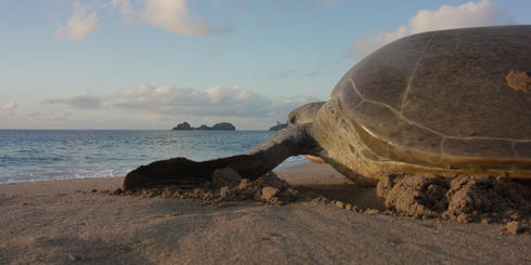 Rondreis Afrika – De mooiste Afrika reizen | Matoke Tours