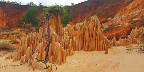 Noord Madagascar; Het land van Vanille en Ylang Ylang » Matoke