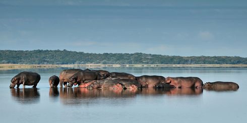 Zuid Afrika Mozambique reis | 16 dagen | Combineer Safari met strand