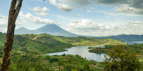 Blik in de bergketen van de Virunga-vulkanen, een lijn van 8 vulkanen in het gebied van de grensdriehoek tussen Rwanda, Oeganda en de DR Congo. Links: Mount Muhabura (4127m) Rechts: Mount Gahinga (3474 m) Het meer rechts op de foto is Lake Ruhonda. De Virunga-vulkanen zijn de thuisbasis van de ernstig bedreigde berggorilla (gorilla beringei beringei), die op de rode lijst van bedreigde diersoorten van de IUCN staat vanwege verlies van leefgebied, stroperij, ziekte en oorlog.