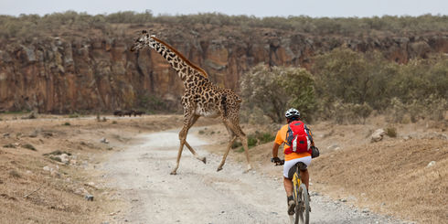 15-daagse Kenia en Seychellen reis | Matoke Tours