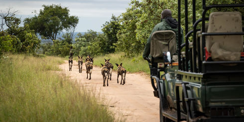 12-daagse Zuid Afrika Fly-in reis: Kruger, Kaapstad en wijnlanden