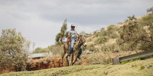 Drie weken Zuid-Afrika: 20-daagse reis Zuid Afrika, Lesotho en Eswatani