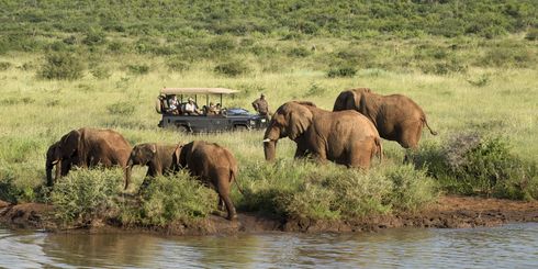 Rondreis twee weken Zuid Afrika en Seychellen | Malariavrij reizen