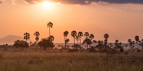 Last minute Tanzania – Boek hier uw last minute vakantie naar Tanzania
