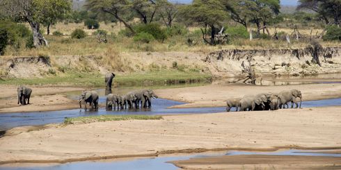 Kilimanjaro beklimmen - Beklim de hoogste berg van Afrika | Matoke Tours