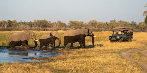 Combinatiereizen Afrika – Bestemmingen in Afrika combineren| Matoke Tours