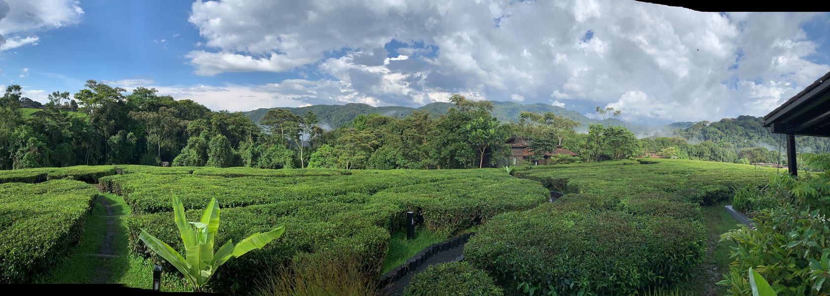 Rwanda reizen - Rwanda rondreis - vakantie reis Rwanda