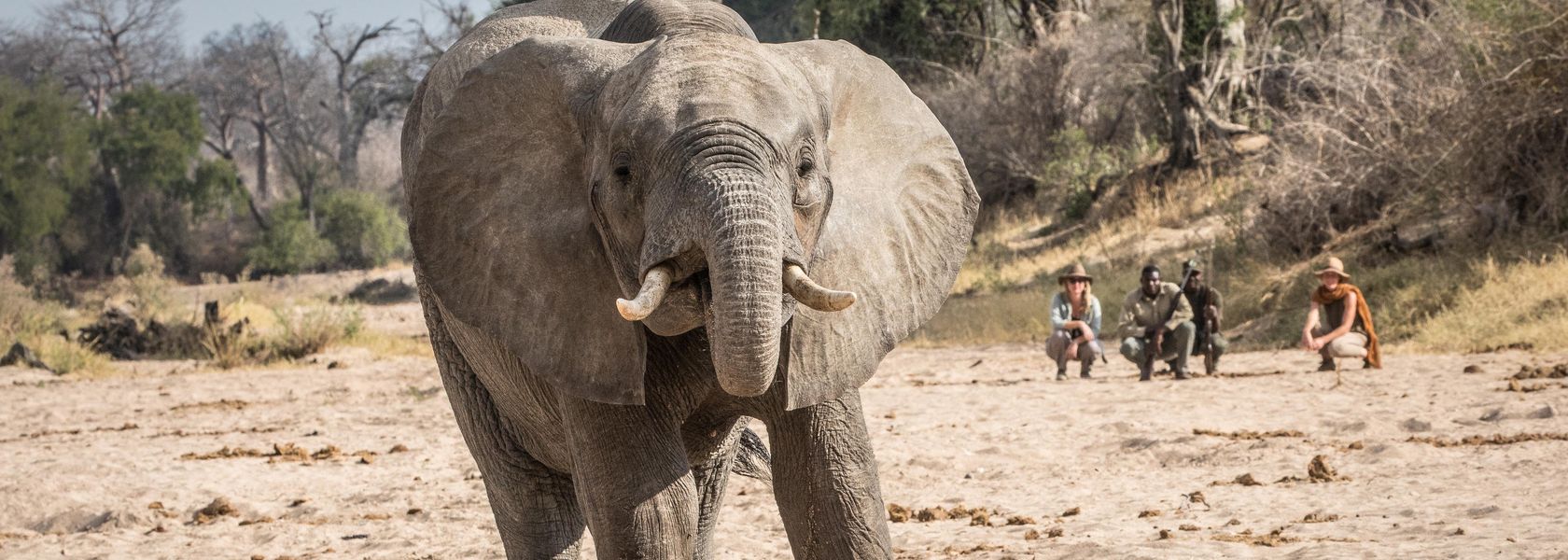 Luxe reis Tanzania | Exclusieve fly-in safari Tanzania | 13 dagen