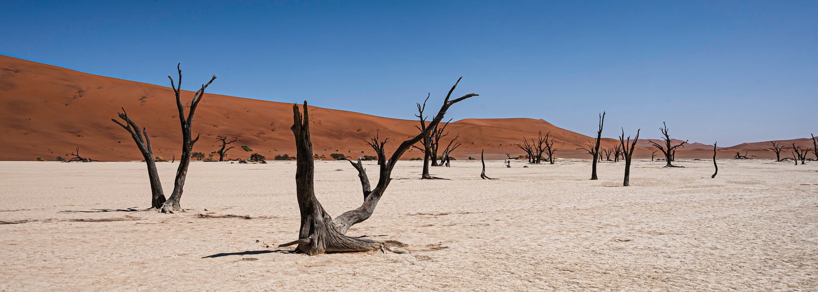 Deadvlei Namibië – Matoke Tours