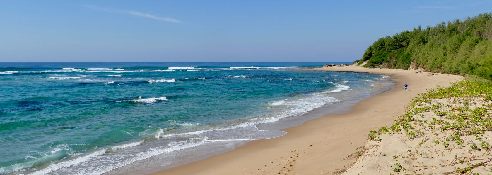 Drie weken Zuid-Afrika: 20-daagse reis Zuid Afrika, Lesotho en Eswatani