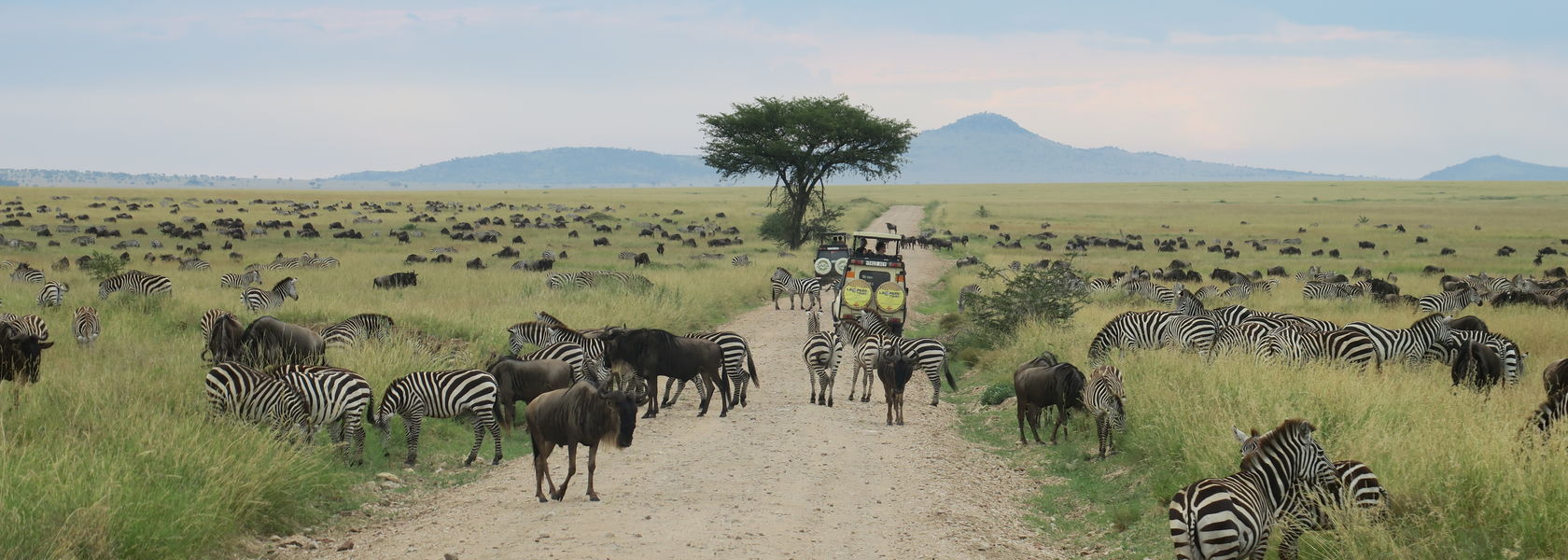 Noord-Tanzania reizen laagseizoen, Afrika | Matoke Tours