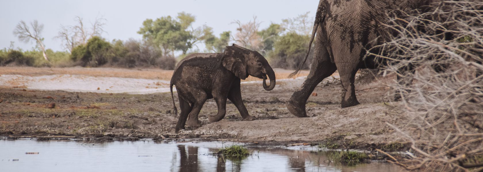 Reisspecialist Celia van Matoke Tours op selfdrive studiereis door Namibië, Botswana en Zimbabwe