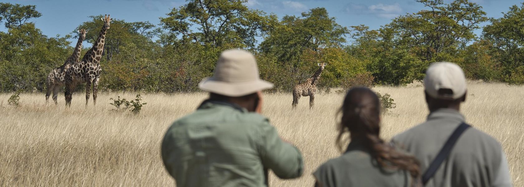 prijzen zimbabwe safari