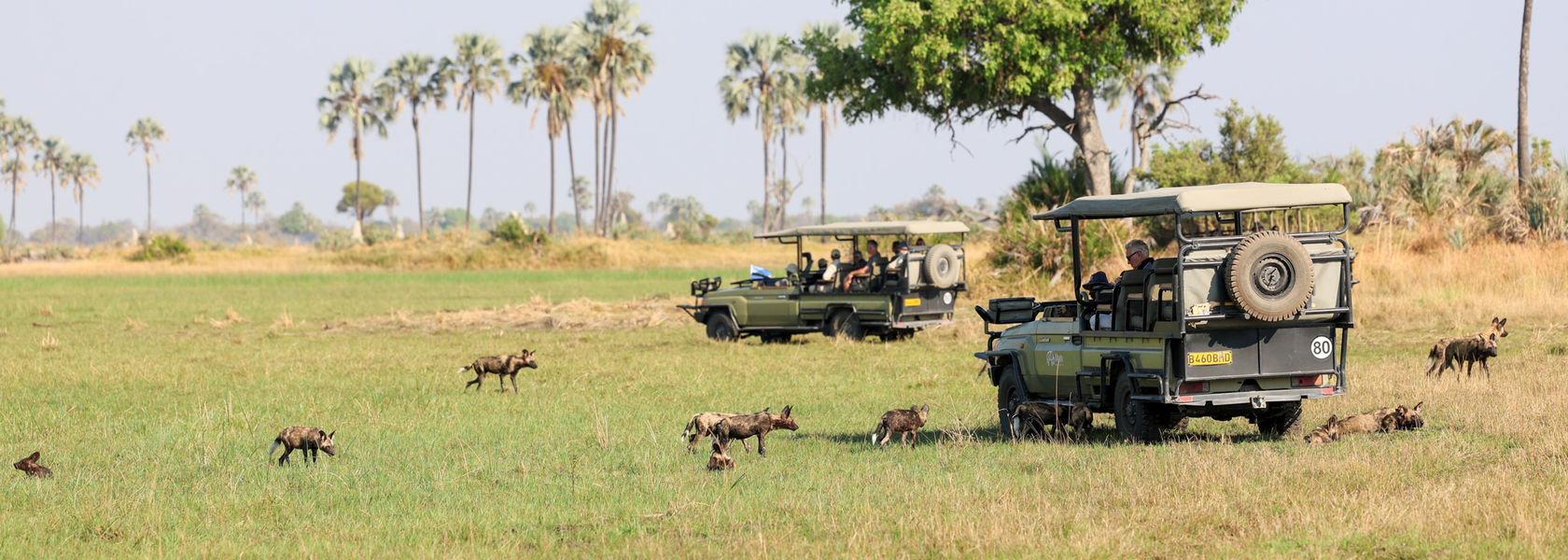 Self-drive reis Namibie Botswana en Victoria Falls | Matoke Tours