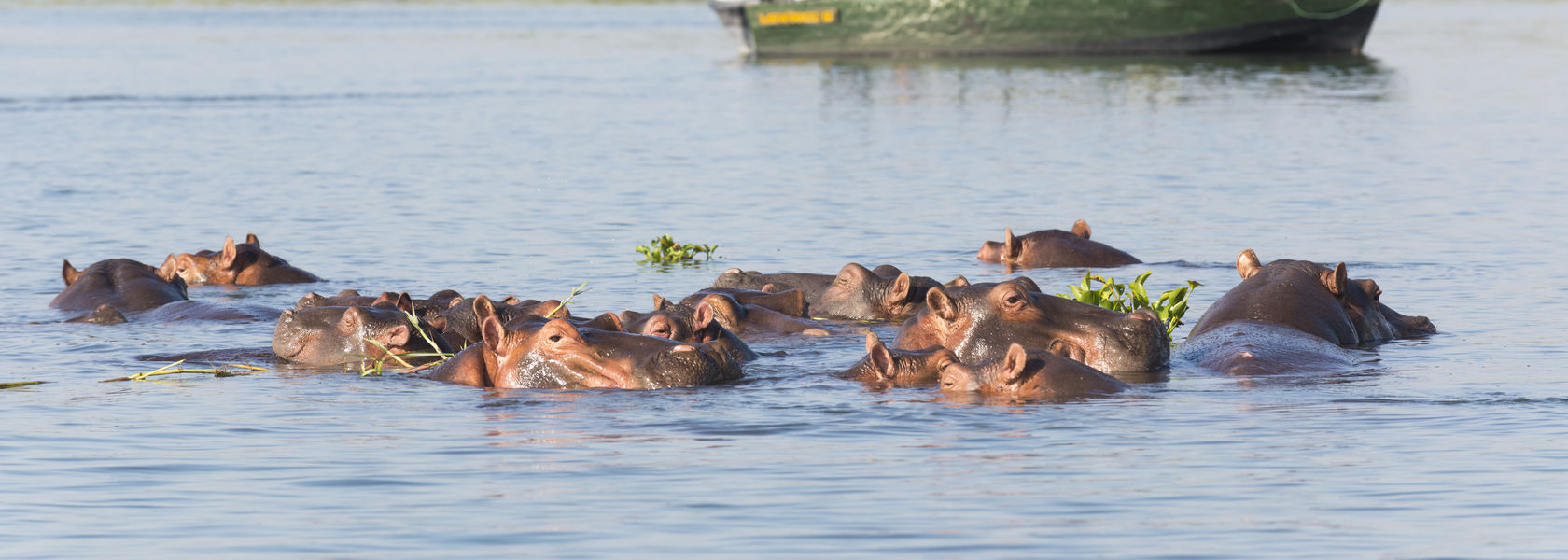 Budget safari Zambia Malawi - budget reis Malawi Zambia