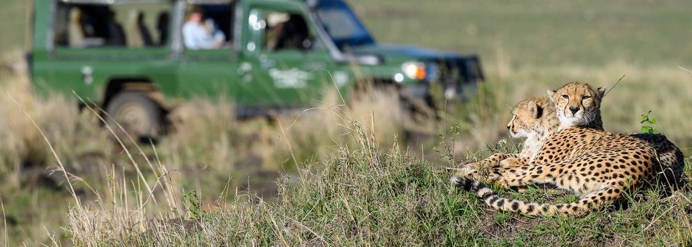 Kenia Safari en strand » Matoke