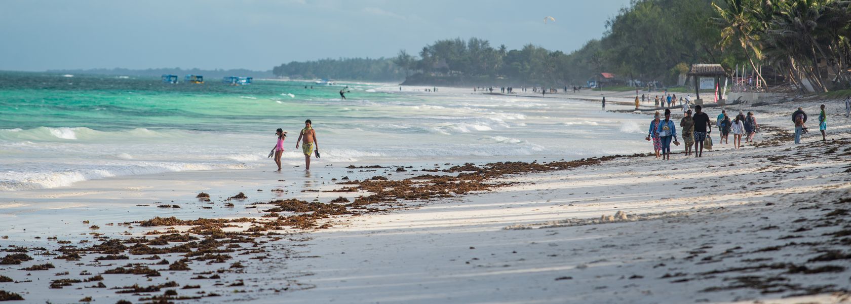 Matoke Tours