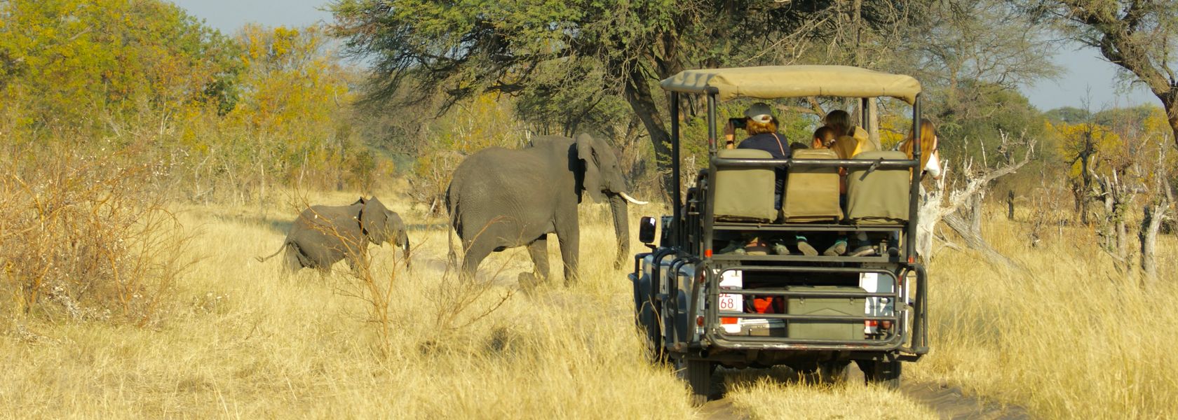 Matoke Tours