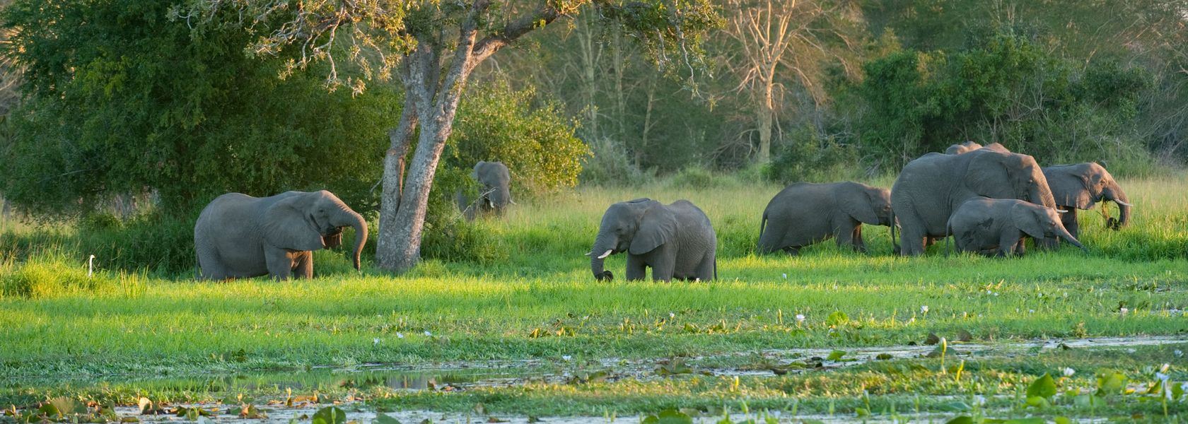 Matoke Tours
