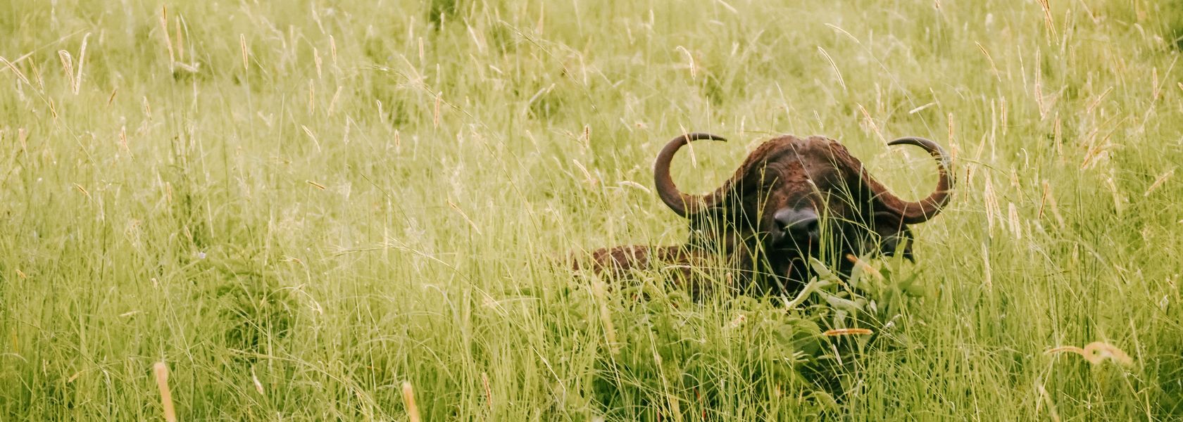 Reisspecialist Celia van Matoke Tours op studiereis door noordoost Oeganda