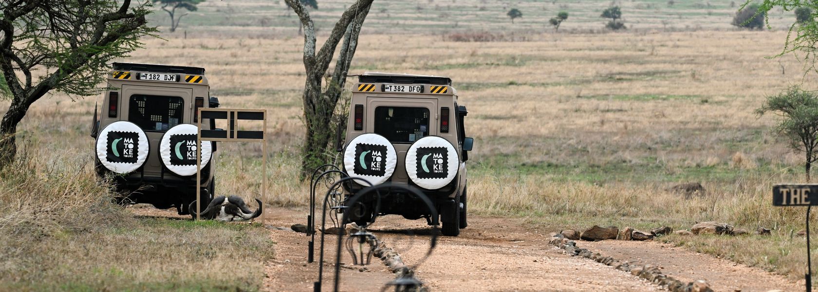 Fotograaf: Jelger van Weydom
Noteer naam wanneer je deze foto gebruikt.