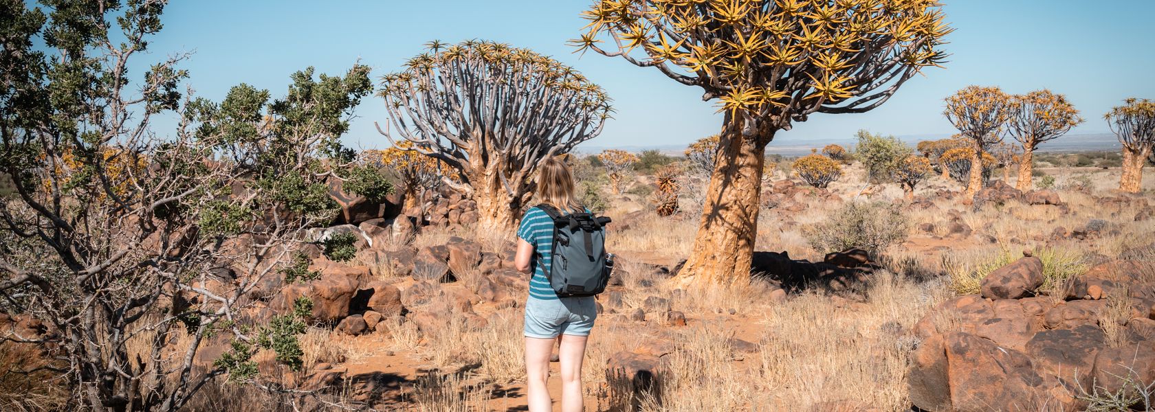 roadtrip Namibië