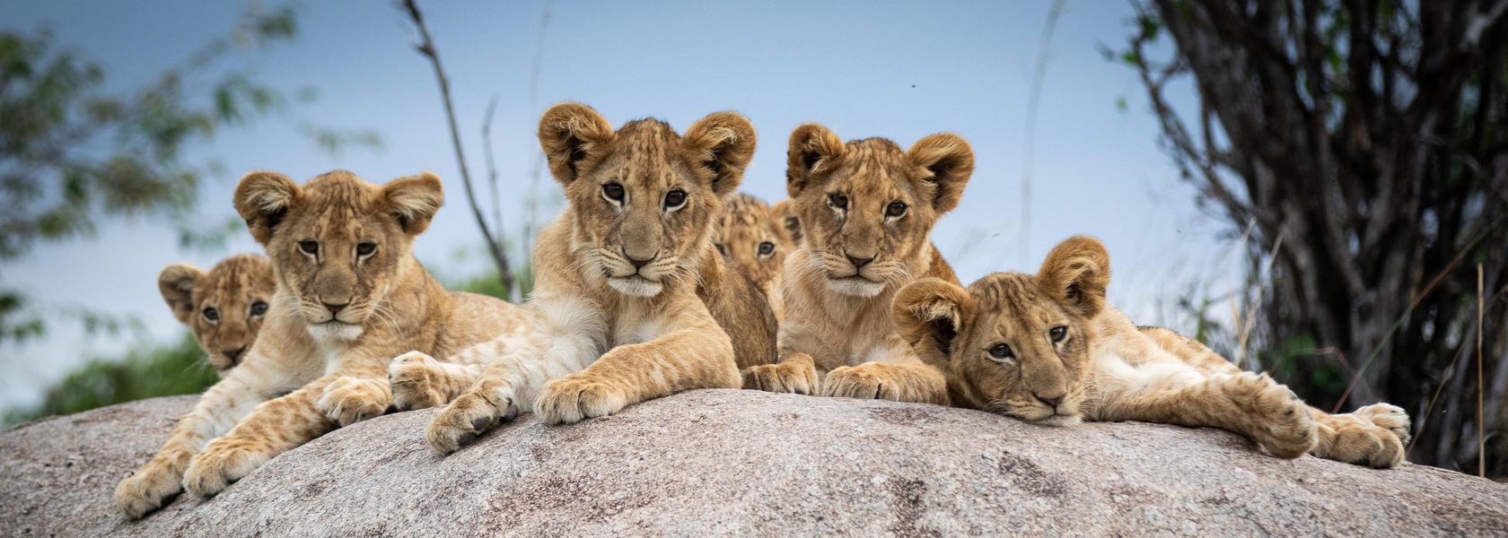 Rondreis Tanzania & Zanzibar in 12 dagen | Matoke Tours