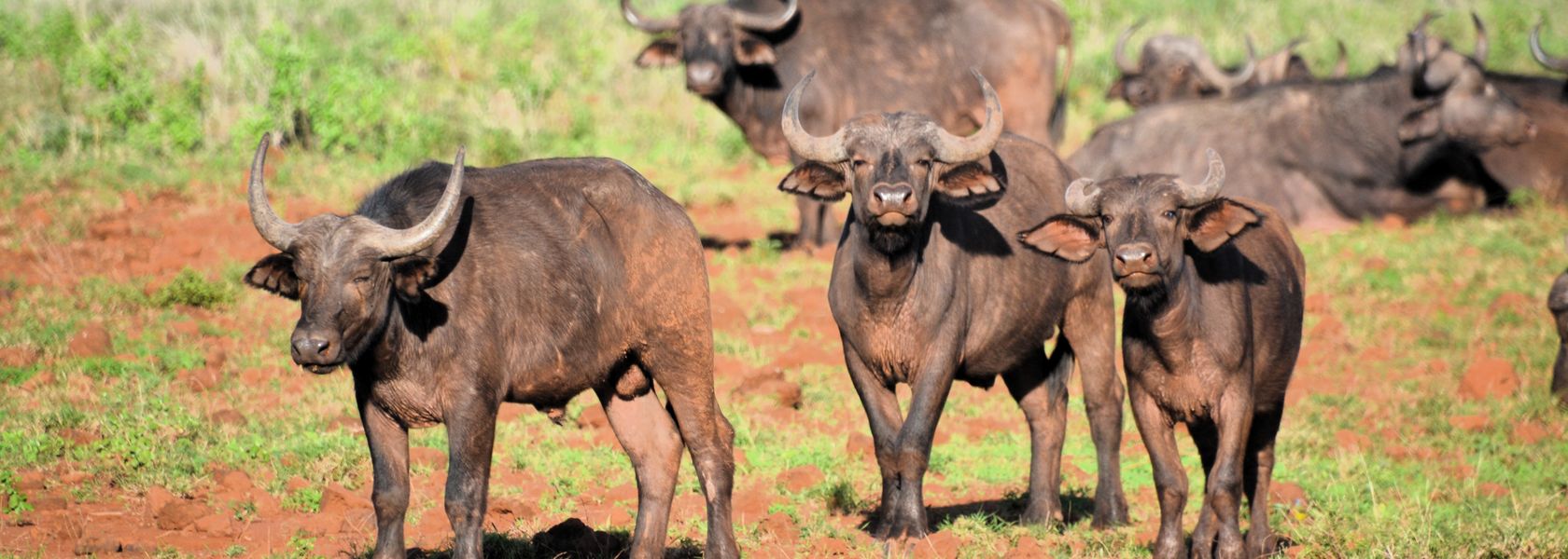 Reisspecialist Natasja op reis in Centraal Kenia | Matoke Tours