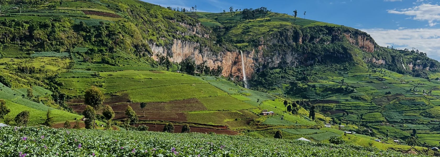 Coffee + culture "in balance with nature" on Mount Elgon