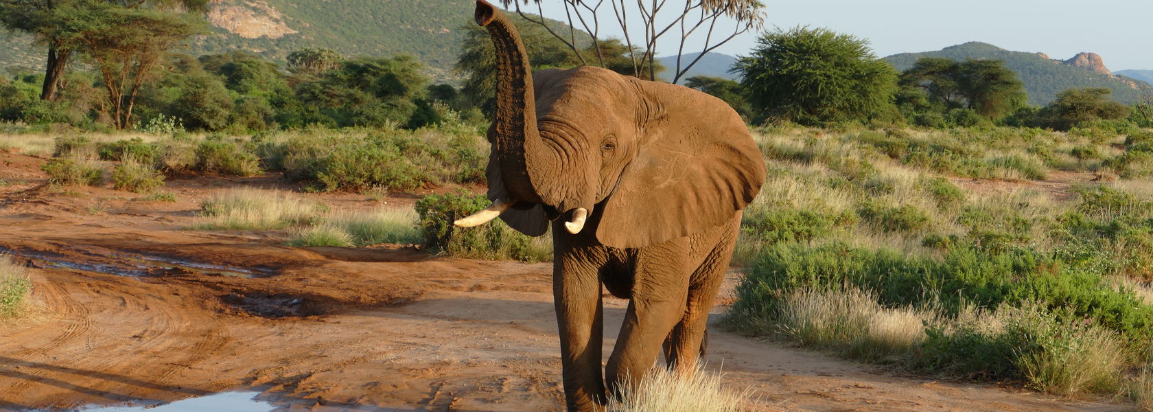 Safari Kenia prijzen - hoeveel kost een Kenia safari?