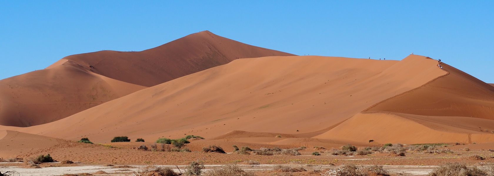 Reisspecialist Marit van Matoke Tours op studiereis in Namibië