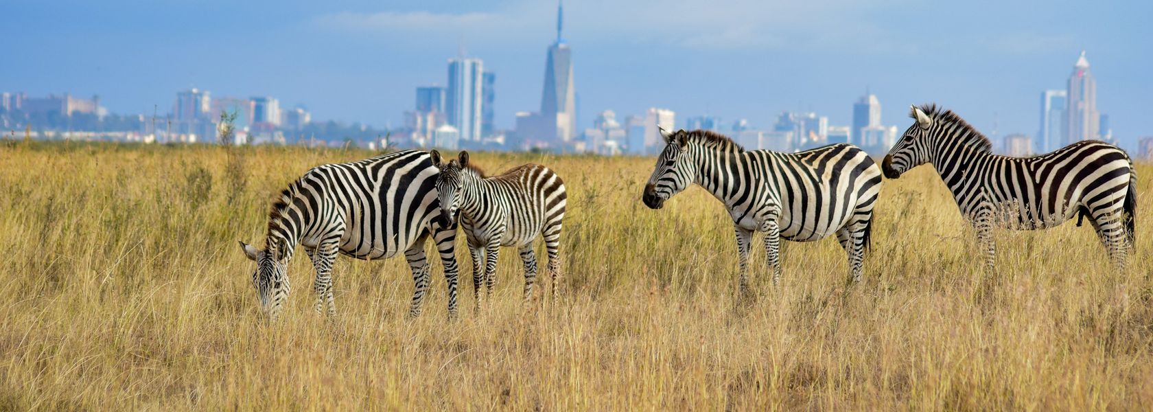 Matoke Tours