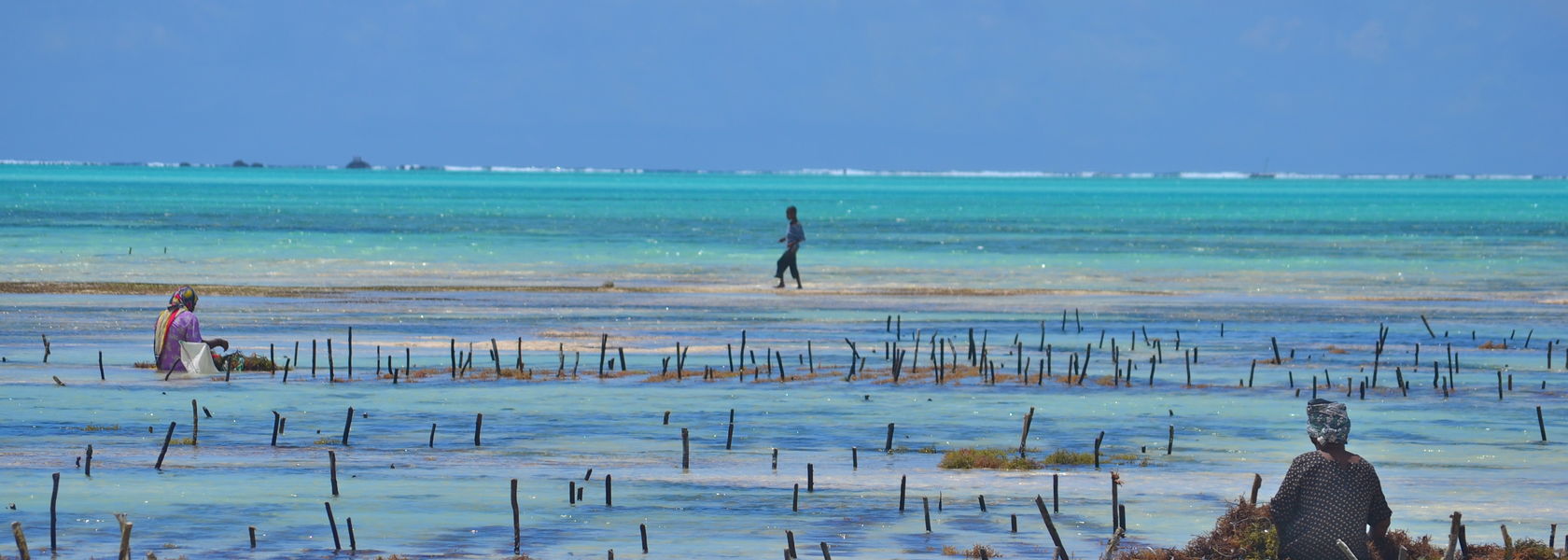 Matoke Tours