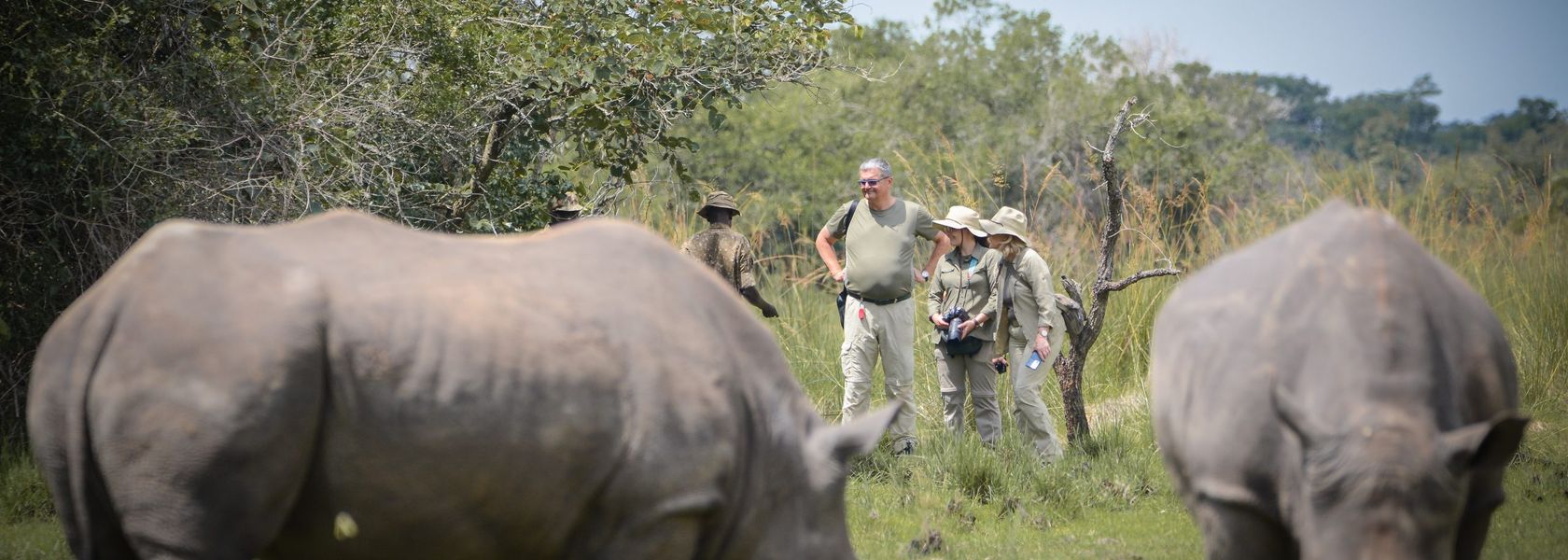 Matoke Tours